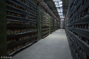 Solar panels powering a mining farm