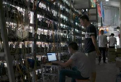 A mining farm with multiple rigs set up