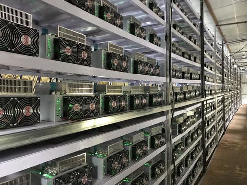 An array of ASIC mining rigs in a modern European mining farm setup