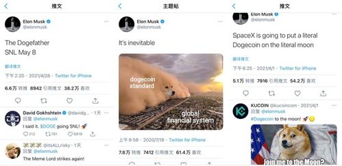 A Shiba Inu dog wearing a Bitcoin mining helmet, symbolizing Dogecoin's playful entry into the mining world