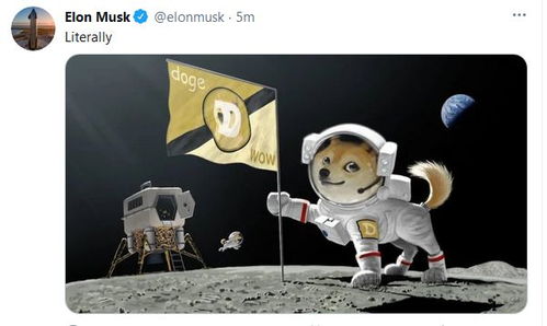 A cartoon Shiba Inu dog wearing a miner's helmet.