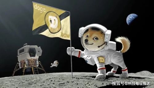 Dogecoin mining setup with enthusiasts